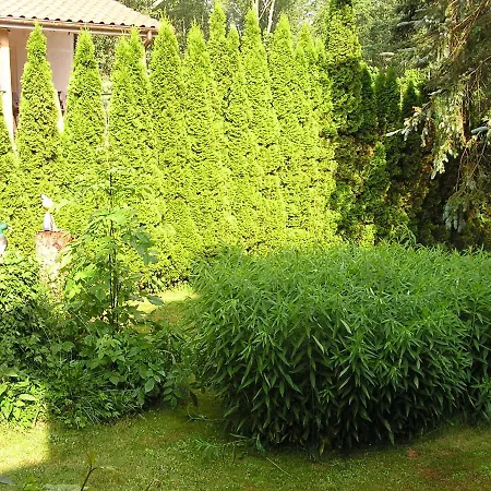 Peeneurlaub Lassan Extérieur photo