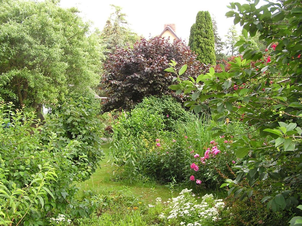 Apartment Peeneurlaub Lassan