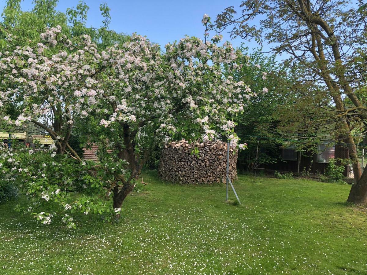 Peeneurlaub * Lassan